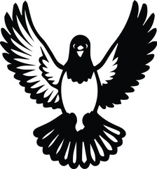 Pigeon bird flying  - Dove bird on transparent background