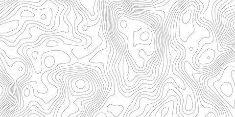 Geometric Contour Lines Map – Abstract Topographic Illustration in Black and White, Ideal for Digital Mapping, UX Design, and Branding.Elegant Topographic Lines Design.