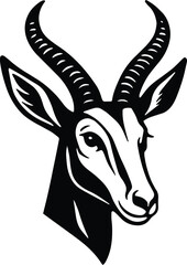 Fototapeta premium Springbok springbuck antelope head