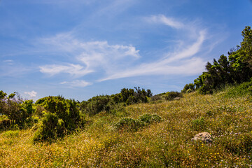 Paysage de maquis depuis les hauteur près du Moulin Mattei à Ersa, sur le Cap Corse en France