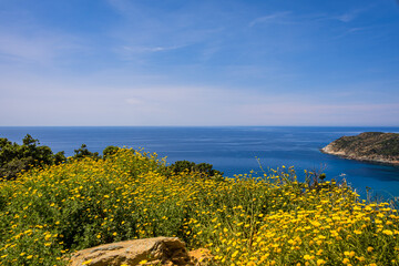 Vue de la côte depuis la commune de Morsiglia sur le Cap Corse en France