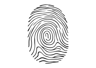 Abstract fingerprint swirl pattern.

