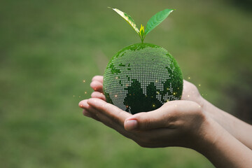 Hands Holding Green Globe with Leaf Symbolizing Environmental Care