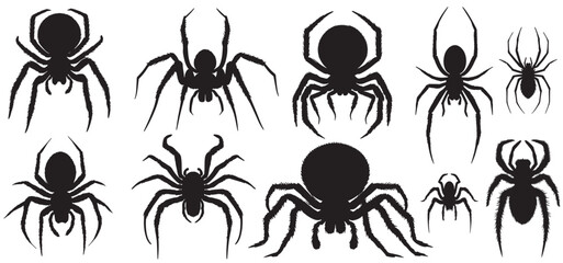 Black spiders silhouette set vector on white background. Creepy spider silhouettes set            