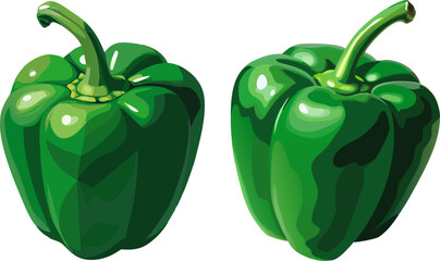 A fresh green bell pepper with glossy surface, isolated on white background. Bright and vibrant watercolor illustration of three fresh green bell peppers