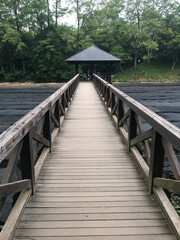 Obraz premium Wooden Bridge to Gazebo in Forest