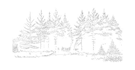 Obraz premium Tree Line Drawing and Architectural Outline with Nature Vector Illustration landscape design.