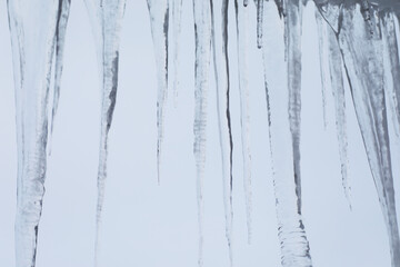 Close-Up View of Transparent Icicles Against a Clear Winter Sky