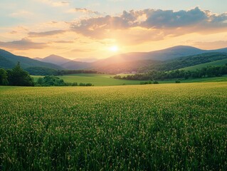 Landscape of green field and meadow in a hill countryside with mountains and beautiful sunset