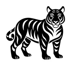 zebra vector illustration