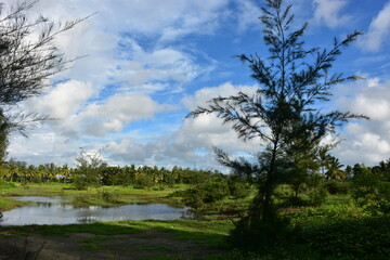 Serene landscape with calm water reflecting green trees under a bright blue sky with fluffy clouds.