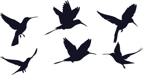 Fototapeta premium dark silhouette birds flying, monochrome minimalist bird illustration, vector graphic design birds, stark black and white bird silhouette art 