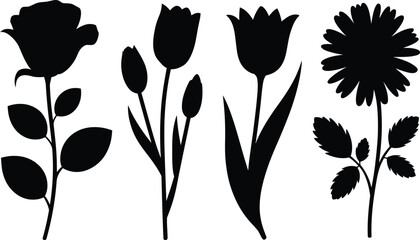 Elegant flower silhouettes featuring rose tulips and daisy with stem and leaves