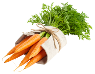 Bundle of Fresh Carrots with Earthy Roots and Green Tops