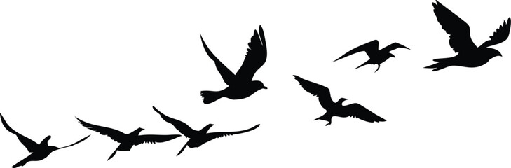 Fototapeta premium Printbird silhouettes, dark flying birds, minimalist birds in flight, black and white bird illustrations, simple avian shapes, dynamic bird motif, abstract bird icons, graphic bird symbols, elegant