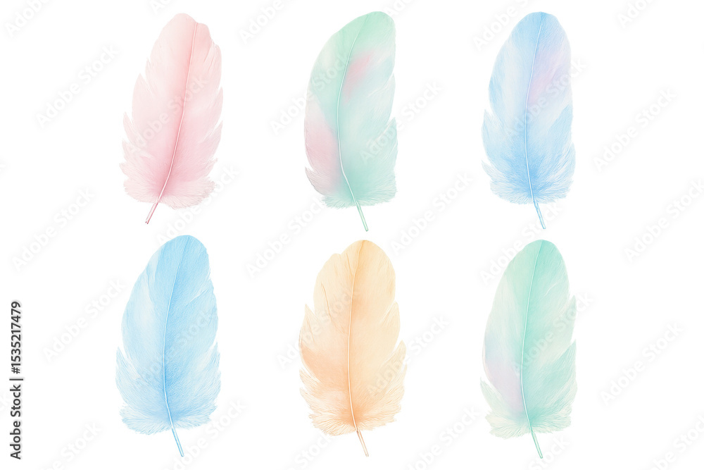 Poster six colorful feathers floating gently on a transparent background, creating a soft and dreamy atmosp