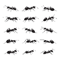 ant silhouette set, Black & White silhouette set