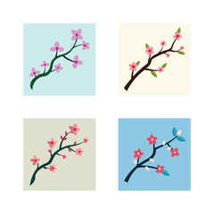 Elegant set of four different vector illustrations of cherry blossom branches on colored backgrounds