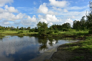 Fototapeta premium Serene landscape with calm water reflecting green trees under a bright blue sky with fluffy clouds.