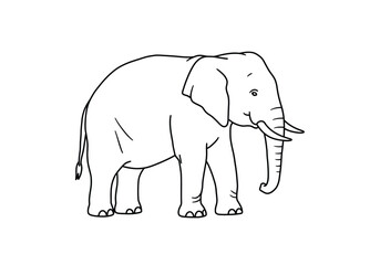 Fototapeta premium Elephant drawing. It is a black and white outline image of an elephant, a large mammal known for its distinctive trunk, tusks, and large ears. Vector sketch line art draw.