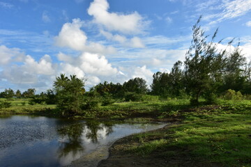 Fototapeta premium Serene landscape with calm water reflecting green trees under a bright blue sky with fluffy clouds.