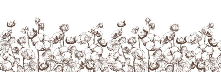 Seamless pattern with cotton. Vector sketch in black ink on white background. Cotton leaves and flowers, detailed farm illustration in engraving style. Design for textile.