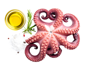 Halved Octopus Tentacle with Sea Salt and Olive Oil