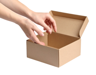 Hands Gently Placing Fragile Item in Small Brown Cardboard Box