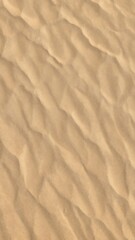 Obraz premium Sinuous lines abstract with dark blue and black flow