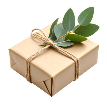 Rustic Gift Box with Eucalyptus Leaves