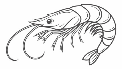 Detailed Line Art Illustration of a Shrimp.
