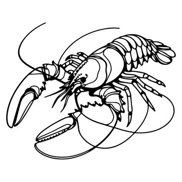 black and white lobster drawing clip art preview
