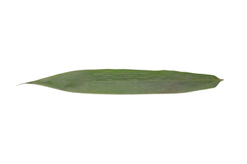 Single Green Bamboo Leaf Isolated on a Transparent Background PNG Image