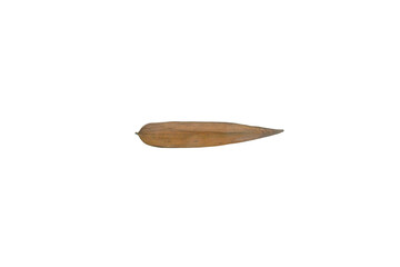 Dried Bamboo Leaf Isolated on Transparent Background PNG for Design Use