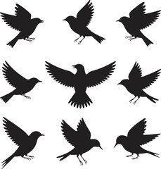 Nine Black Bird Silhouettes Flight Variations birds