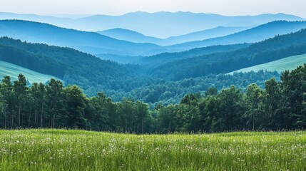 Lush Green Meadow And Distant Blue Mountain Range Landscape View