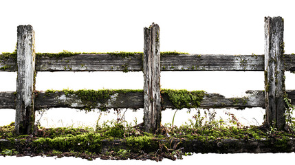 Weathered wooden fence with vibrant moss details.
