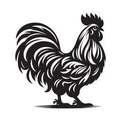 rooster isolated on white background