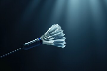 Ultra Hd Image of Badminton Shuttlecock Poised for Serve Demonstrating Agility and Power