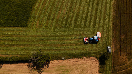 green grass field with white lines - mowing