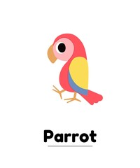  parrot icon flash card 