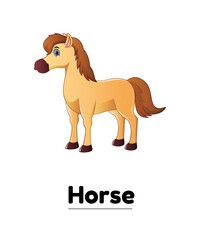 Horse vector illustration Flash card 