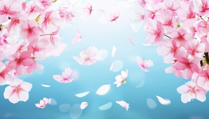 Fototapeta premium soft pink cherry blossom petals falling against a bright sky blue background for elegant spring design, print template, web banner, or seasonal branding concept