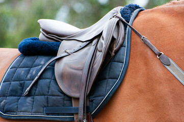 Montura de caballo o amazona, para competir en equitación