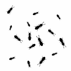 Vector illustration of a termite colony gathering. On a white background.