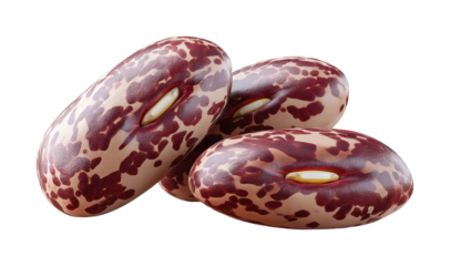 Close-up of three calico beans with marbled patterns