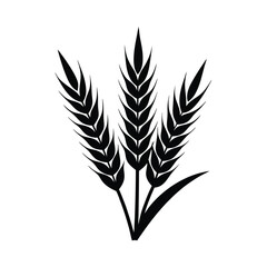vector silhouette illustration of Wheat or Barley Heads for Agriculture and Farming Concept