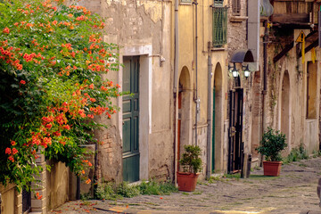 Ancient houses and plants with flowers in the old town of Benevento, Italy