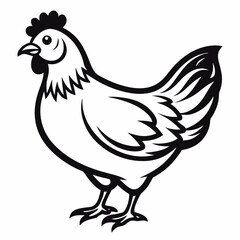 Hen line art vector icon