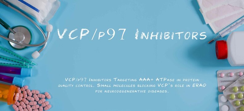 VCP/p97 Inhibitors Targeting AAA+ ATPase in protein quality